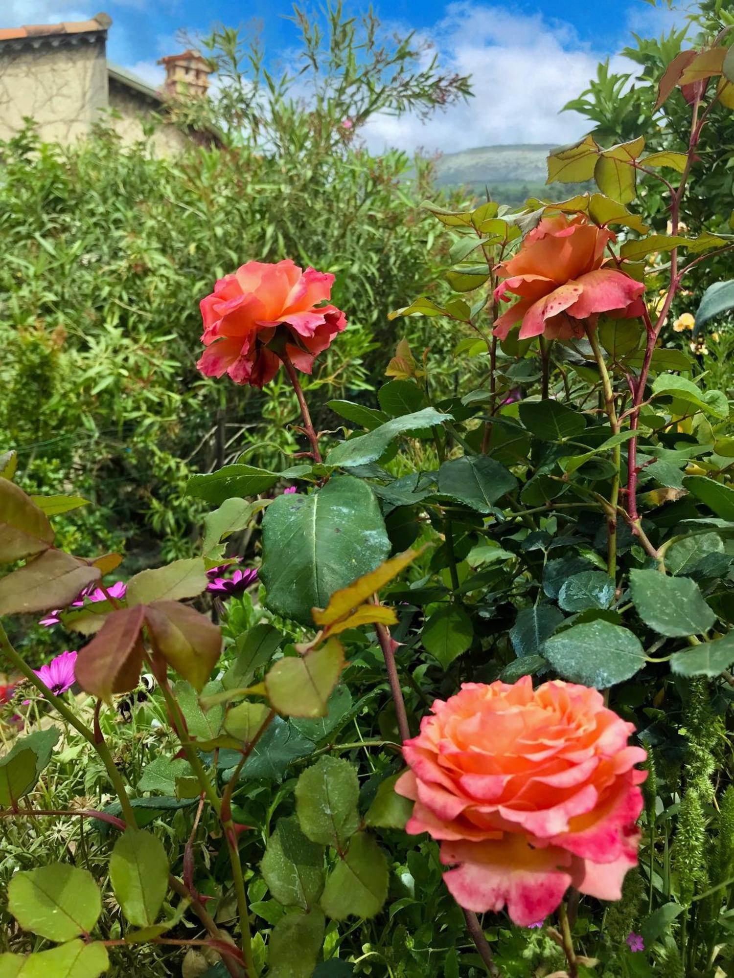 La Thebaide Bed and Breakfast Γκρας Εξωτερικό φωτογραφία